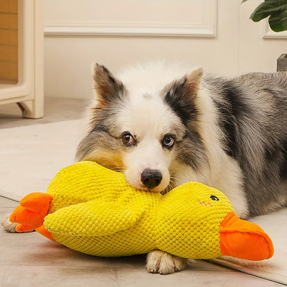 Dog Chewing Duck Molar Toy