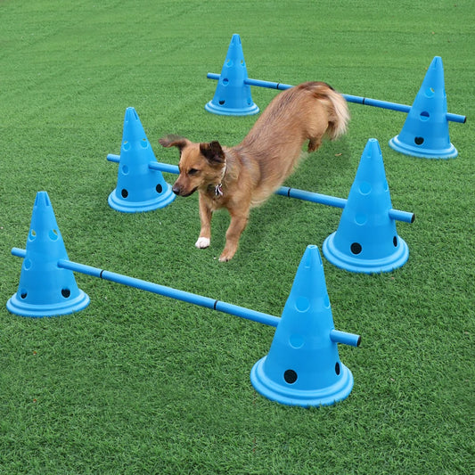 Dog Running Jumping Stakes Outdoor Agility Equipment